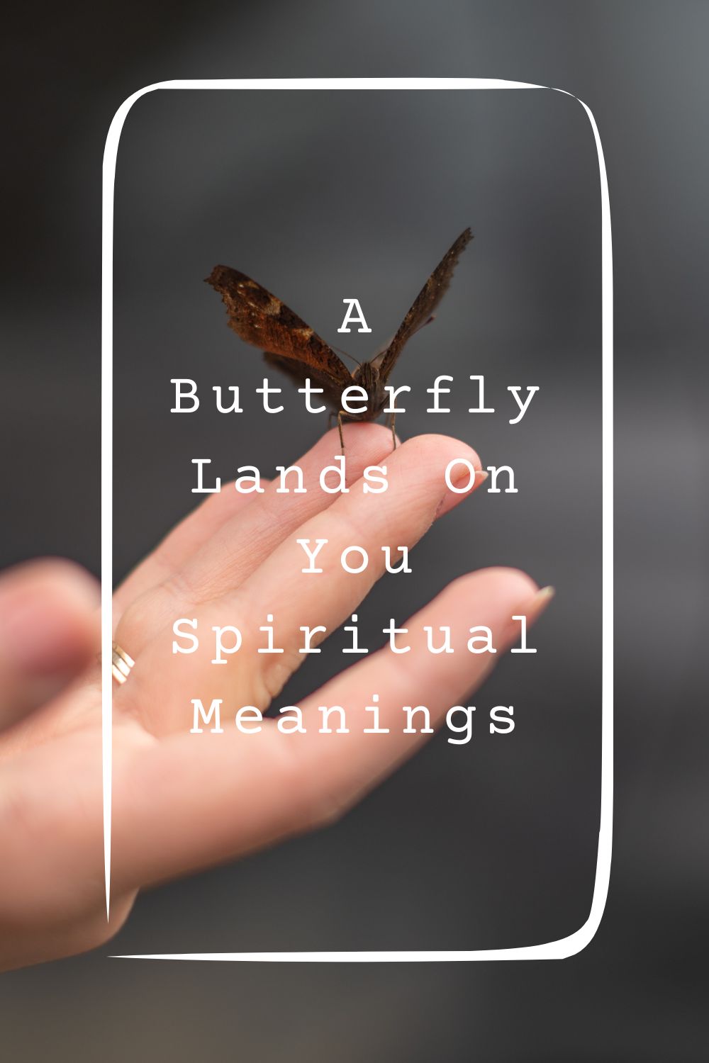 12 A Butterfly Lands On You Spiritual Meanings4