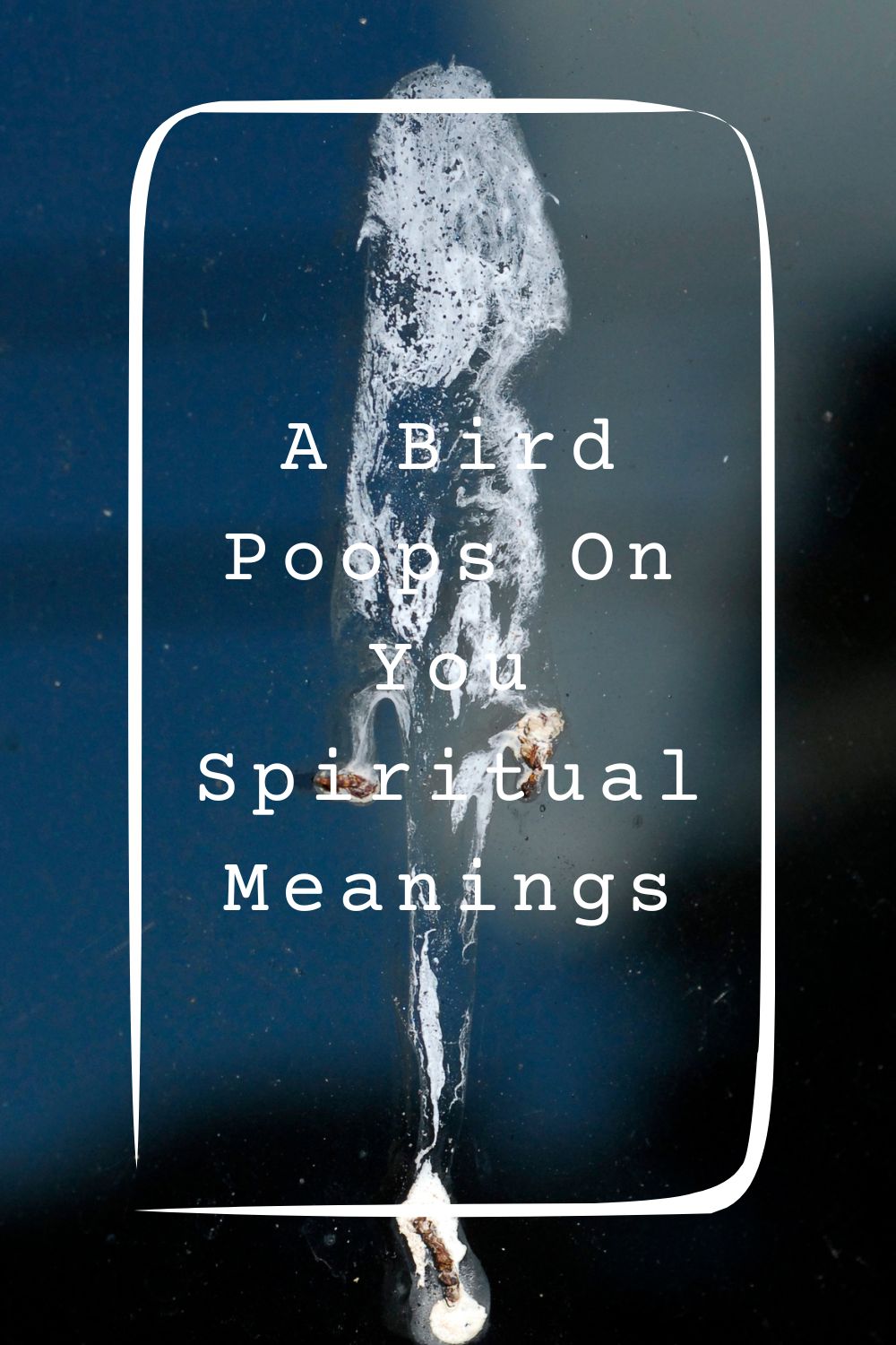 9 A Bird Poops On You Spiritual Meanings1
