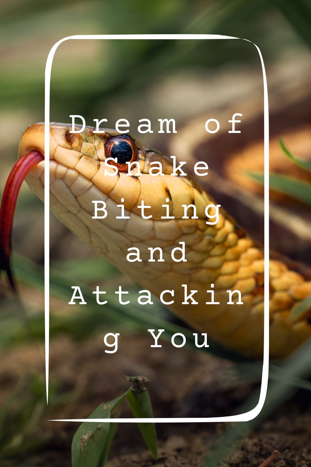 Dream of Snake Biting and Attacking You Meanings