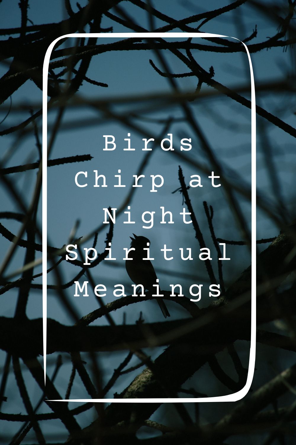 10 Birds Chirp at Night Spiritual Meanings1