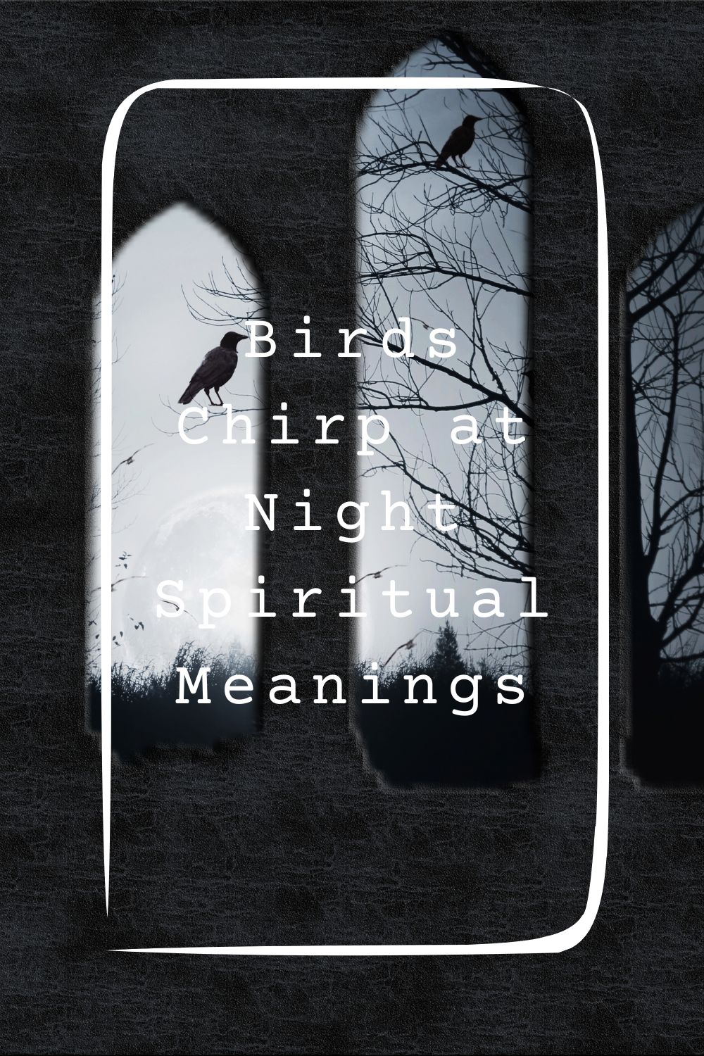 10 Birds Chirp at Night Spiritual Meanings4