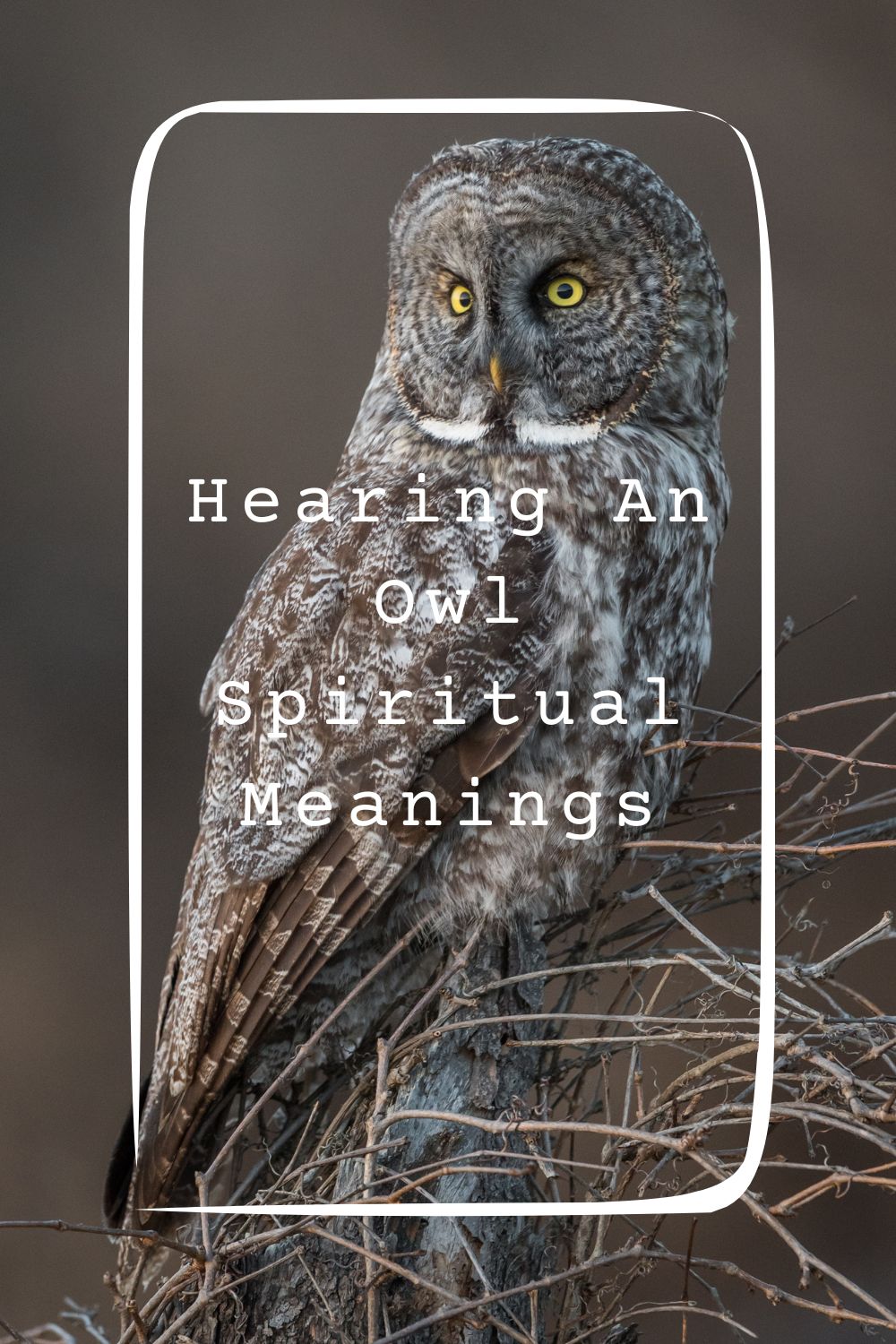 10 Hearing An Owl Spiritual Meanings1