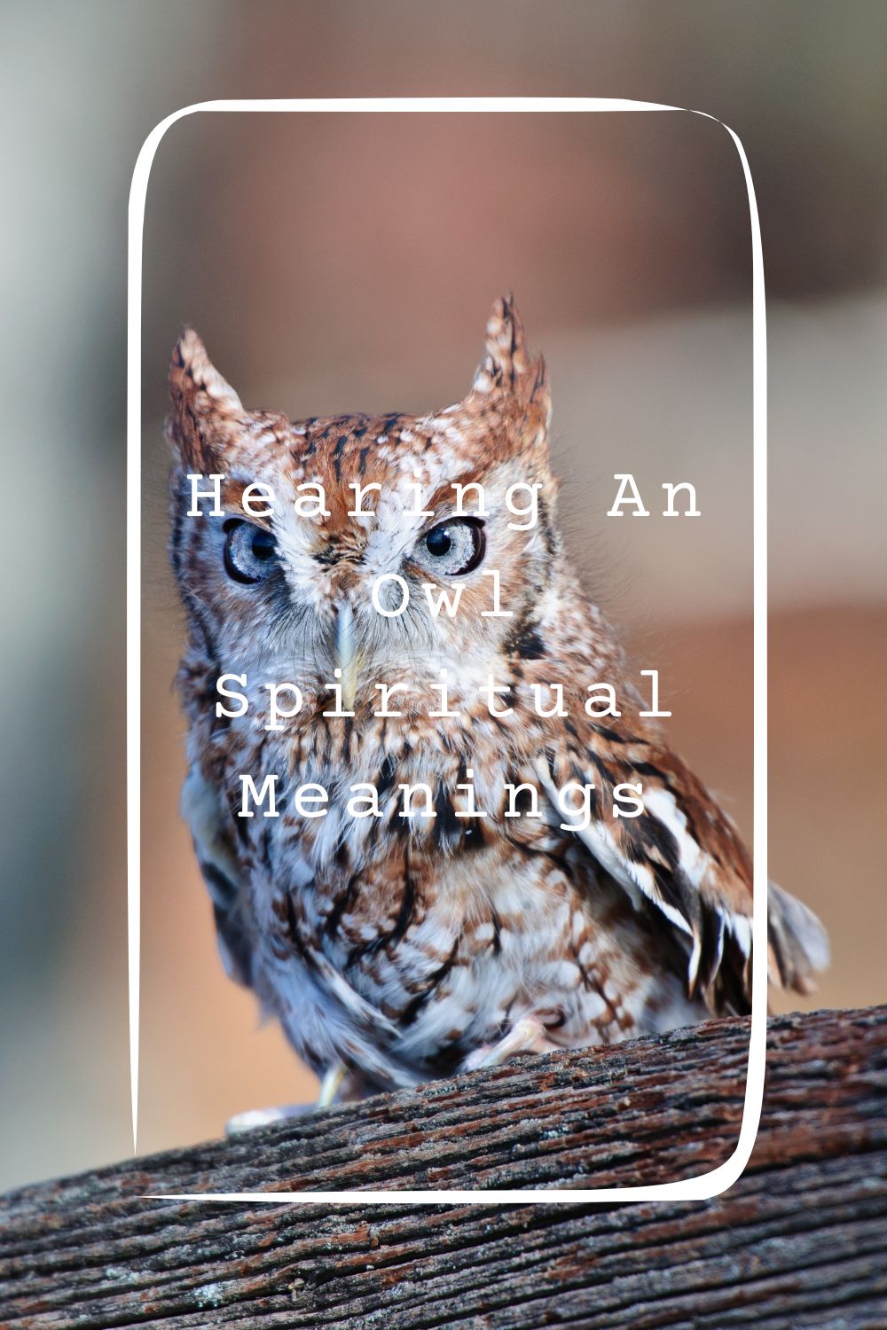 10 Hearing An Owl Spiritual Meanings4
