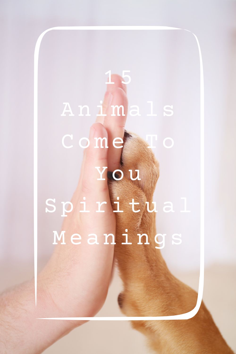 15 Animals Come To You Spiritual Meanings 1