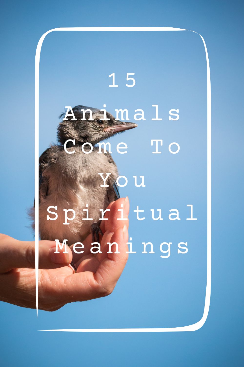 15 Animals Come To You Spiritual Meanings 4