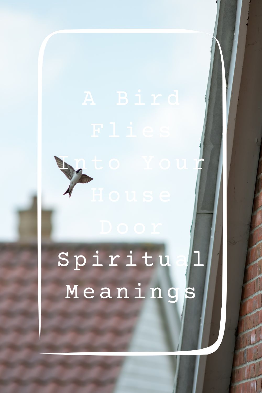 9 A Bird Flies Into Your House Door Spiritual Meanings1