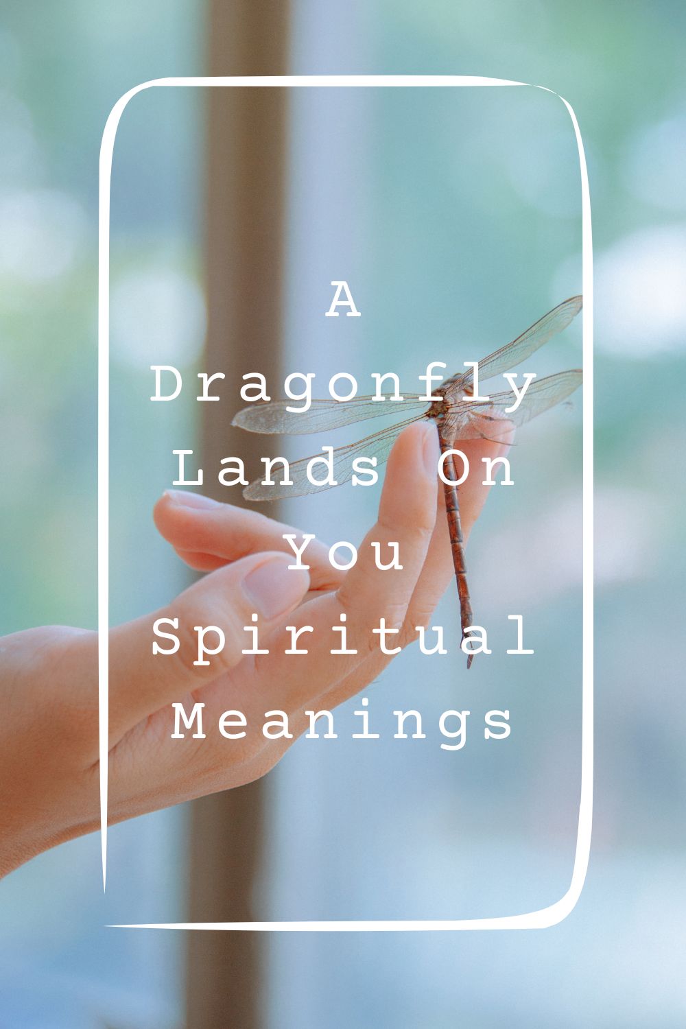 9 A Dragonfly Lands On You Spiritual Meanings1