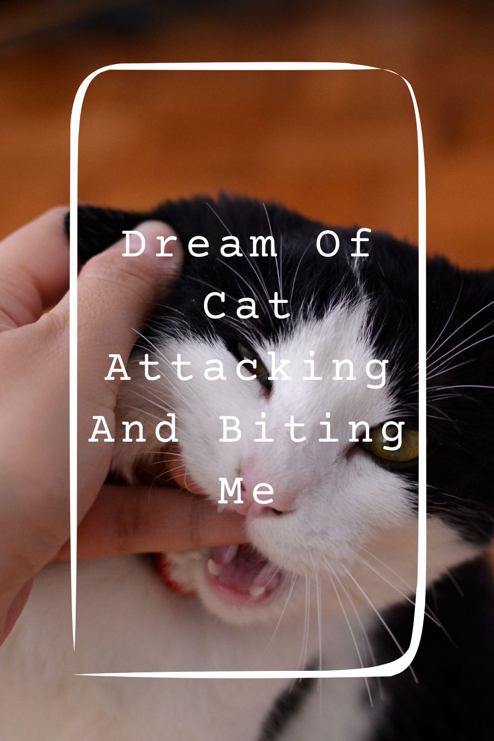 Dream Of Cat Attacking And Biting Me Meanings 2