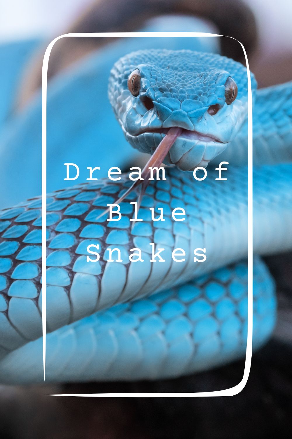 Dream of Blue Snakes 1