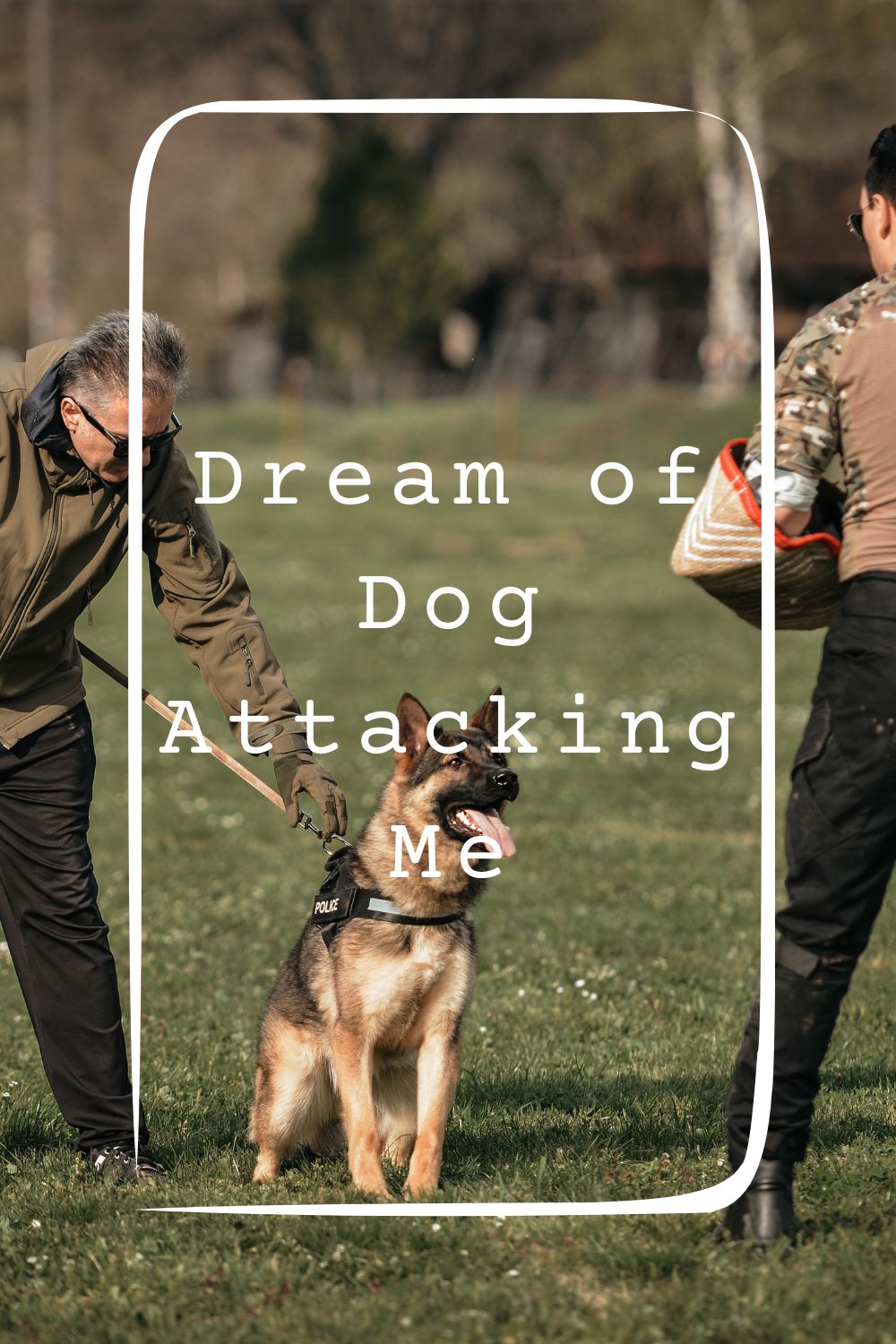 Dream of Dog Attacking Me 4