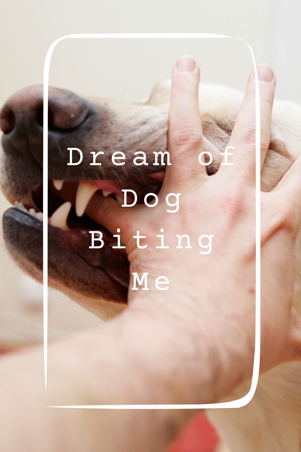 Dream of Dog Biting Me 1