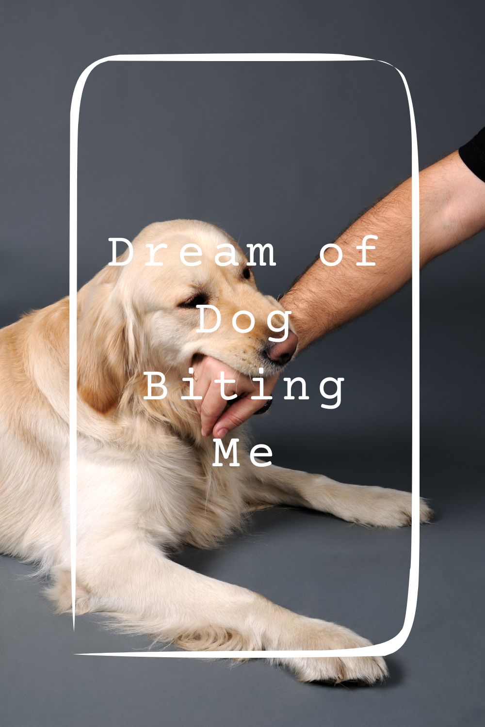 Dream of Dog Biting Me 4