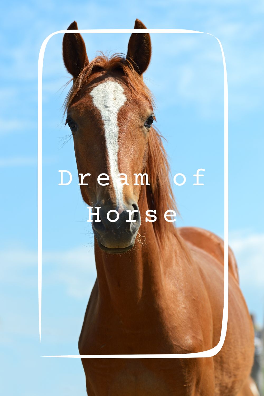 11 Dream of Horse Meanings1