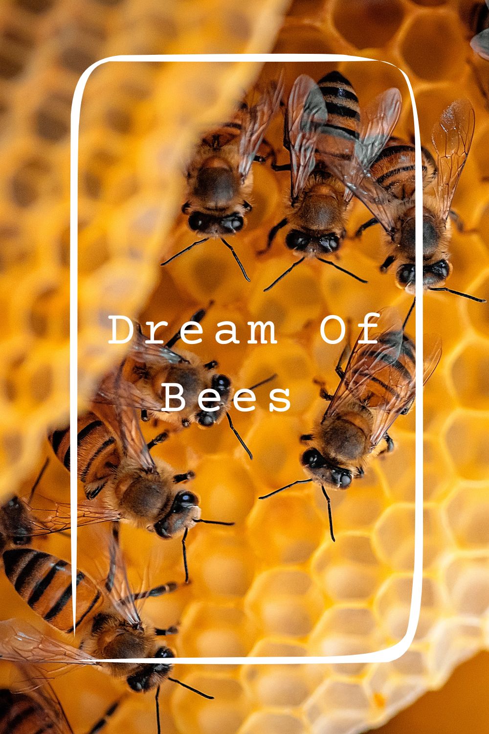 Dream Of Bees Meanings 2