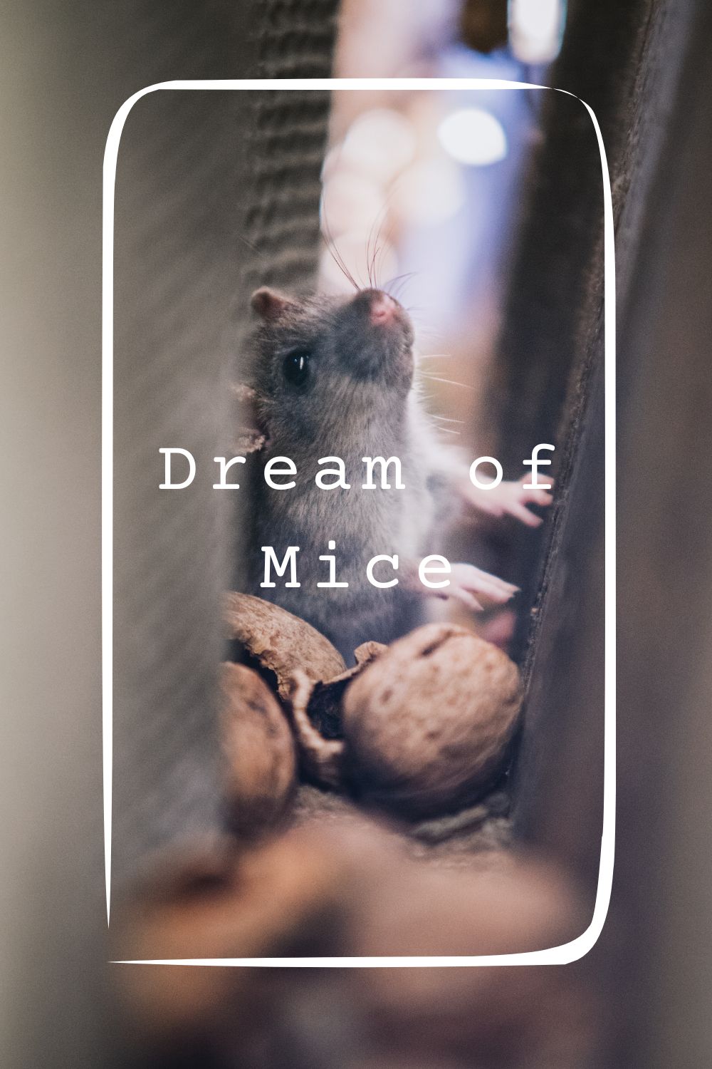 Dream of Mice 1
