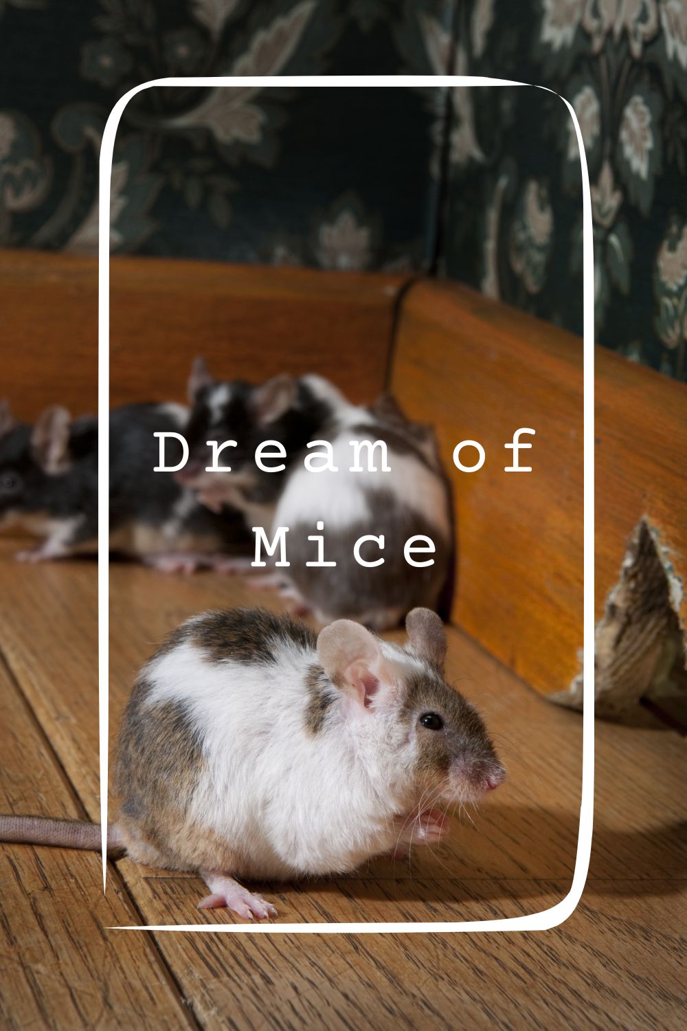 Dream of Mice 4