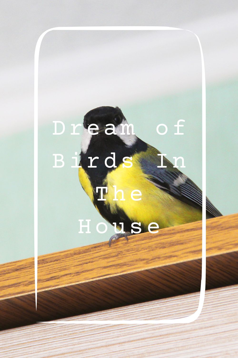 10 Dream of Birds In The House Meanings1