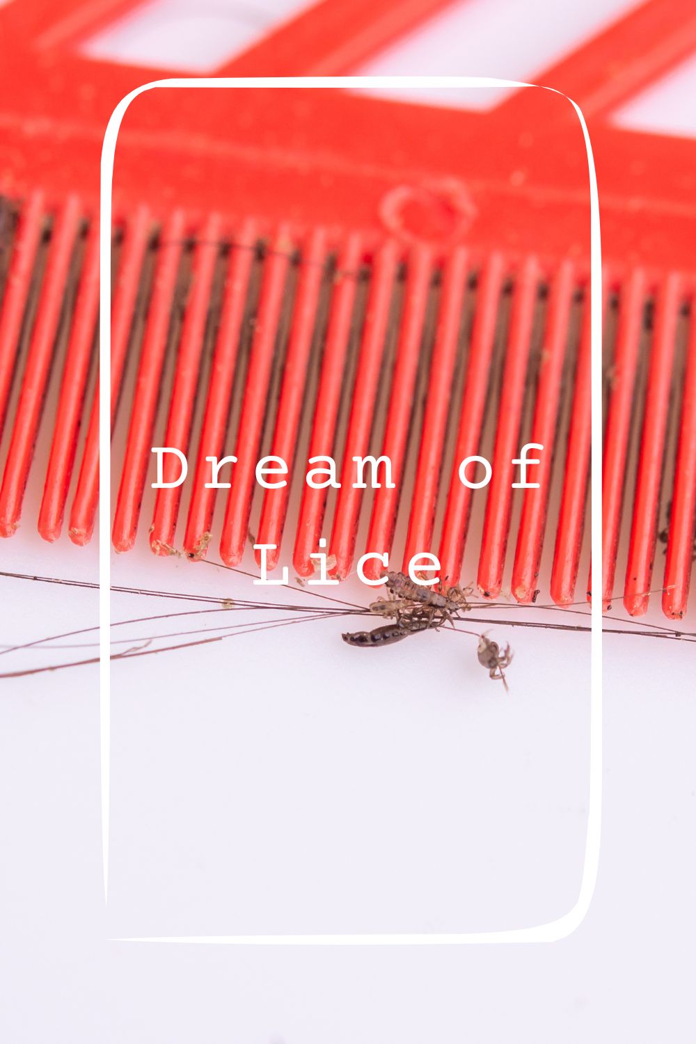 10 Dream of Lice Meanings4