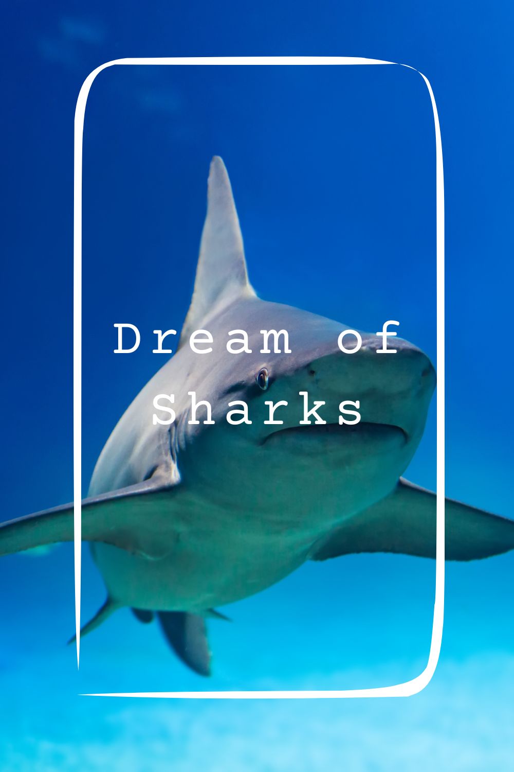 15 Dream of Sharks Meanings1