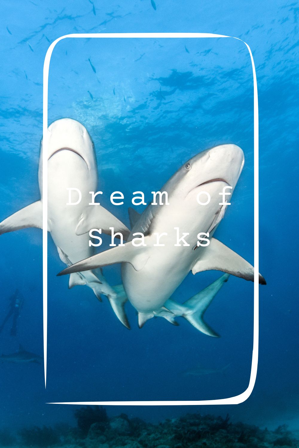 15 Dream of Sharks Meanings4