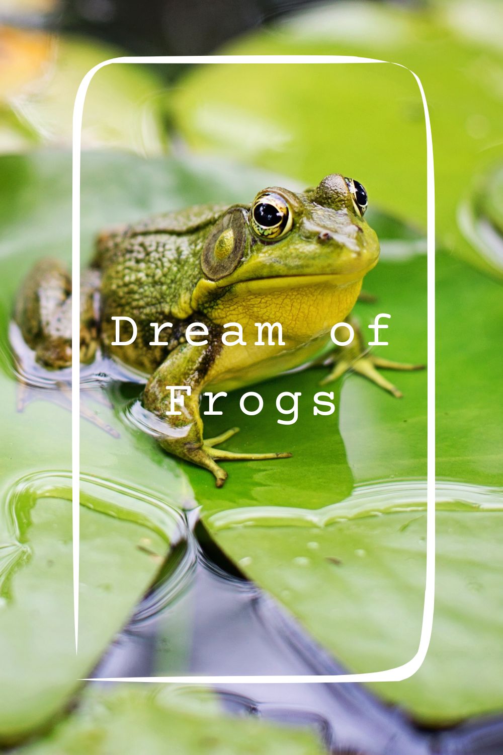 8 Dream of Frogs Meanings1