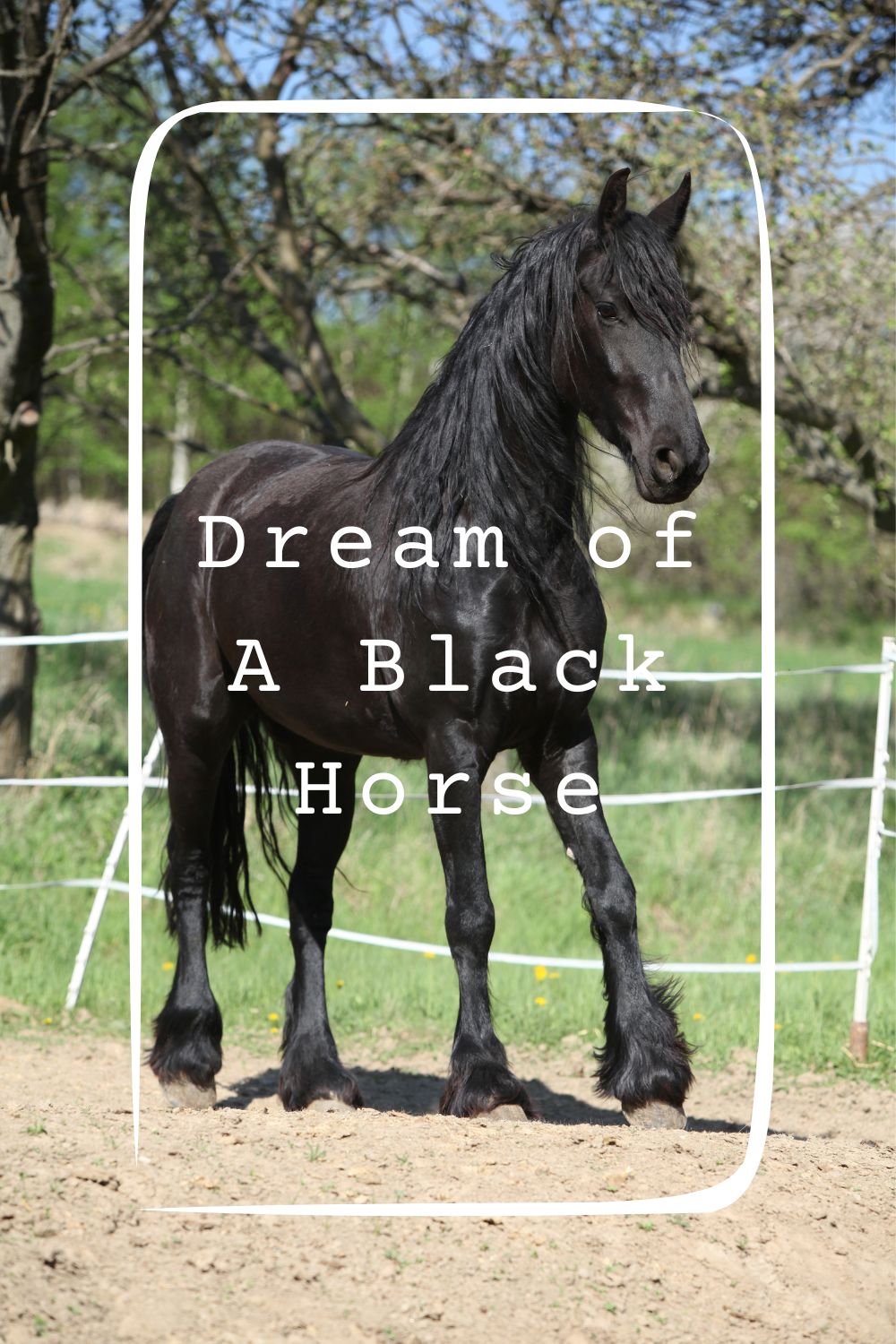 9 Dream of A Black Horse Meanings4