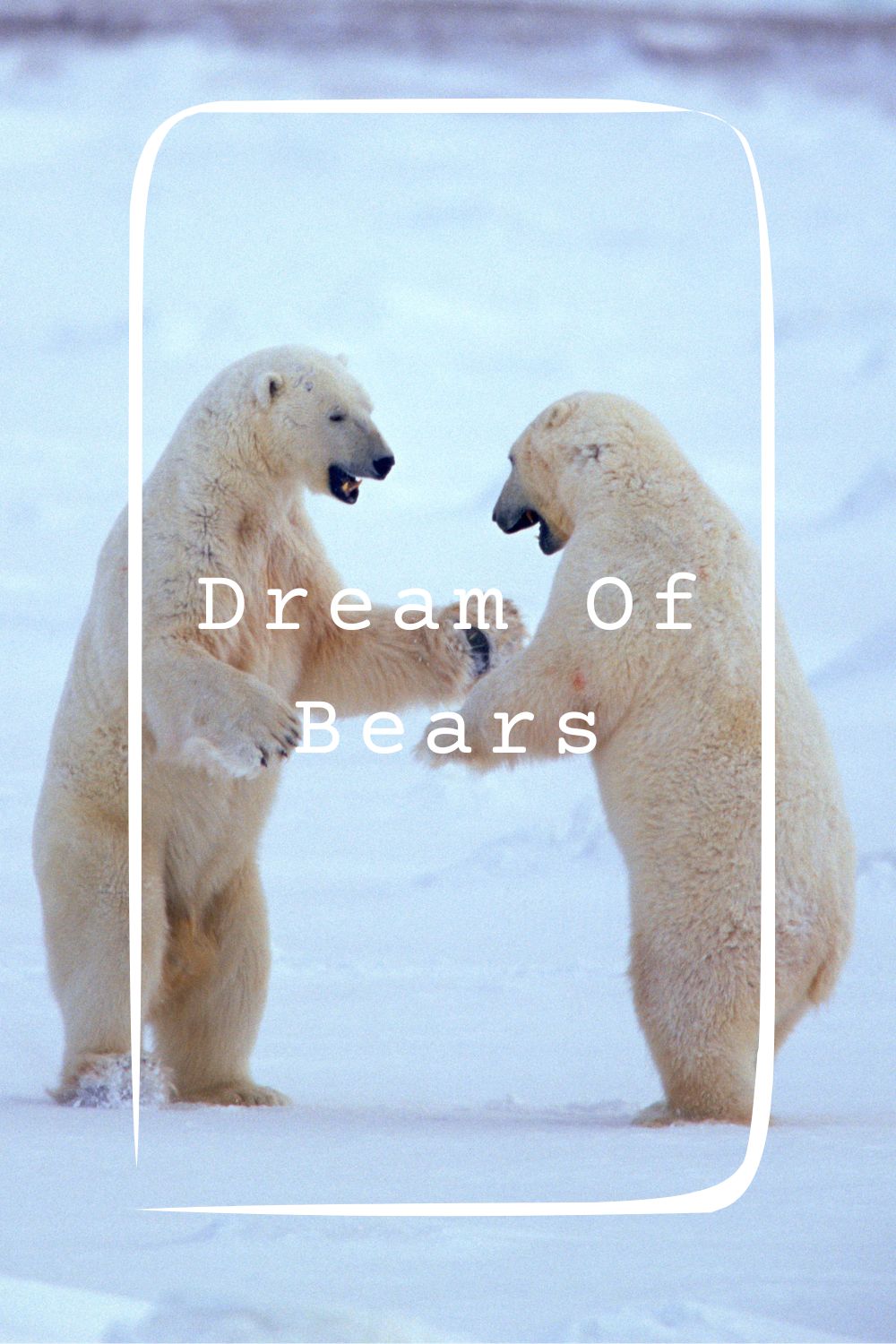 Dream Of Bears Meanings 2