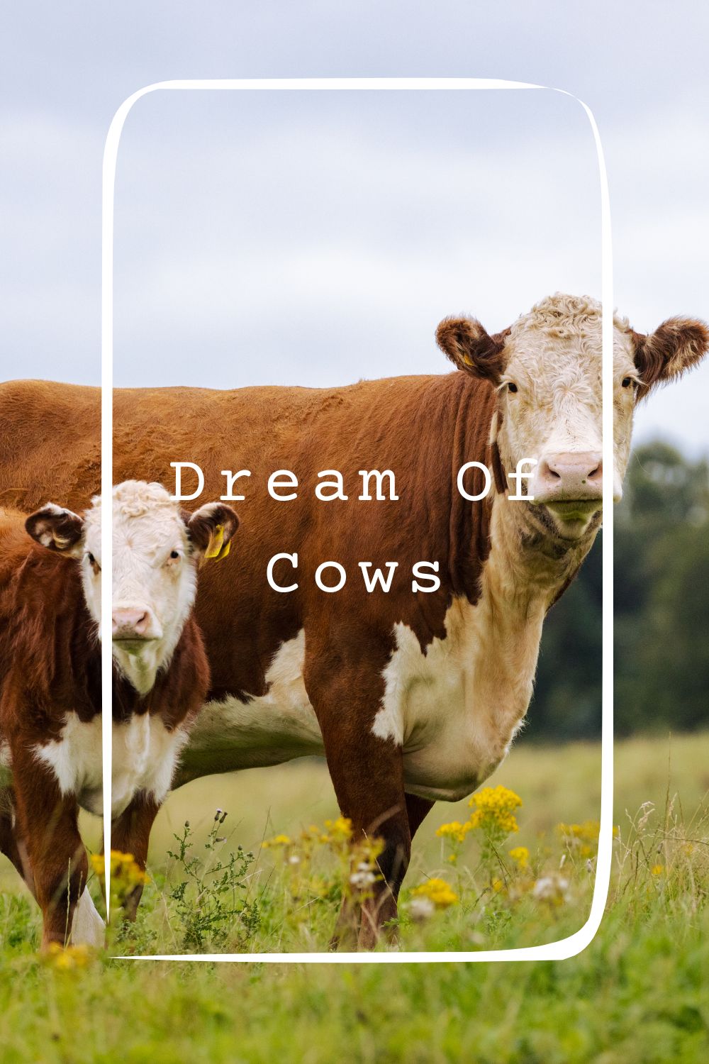 Dream Of Cows Meanings 1