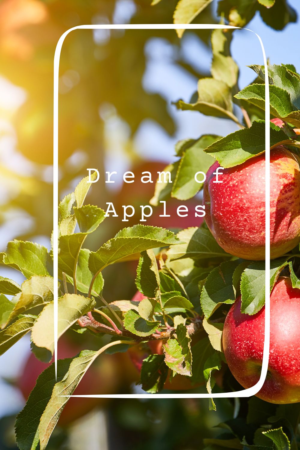 Dream of Apples pin1