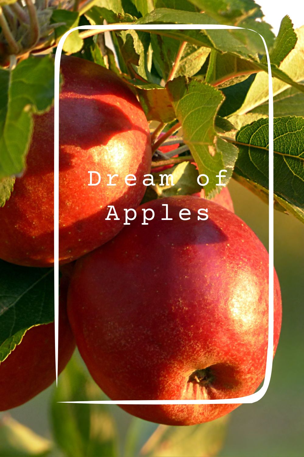 Dream of Apples pin2