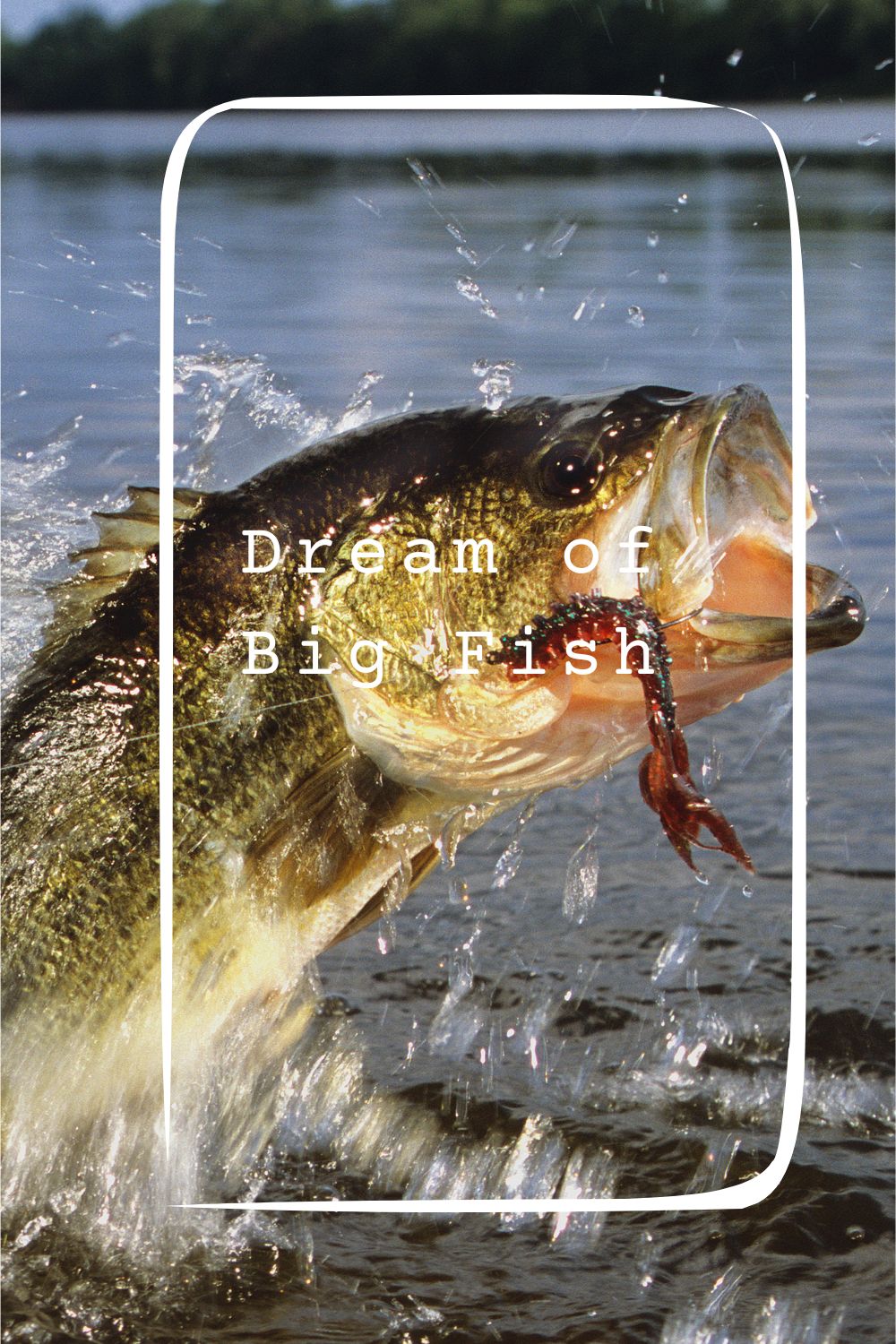 Dream of Big Fish pin1