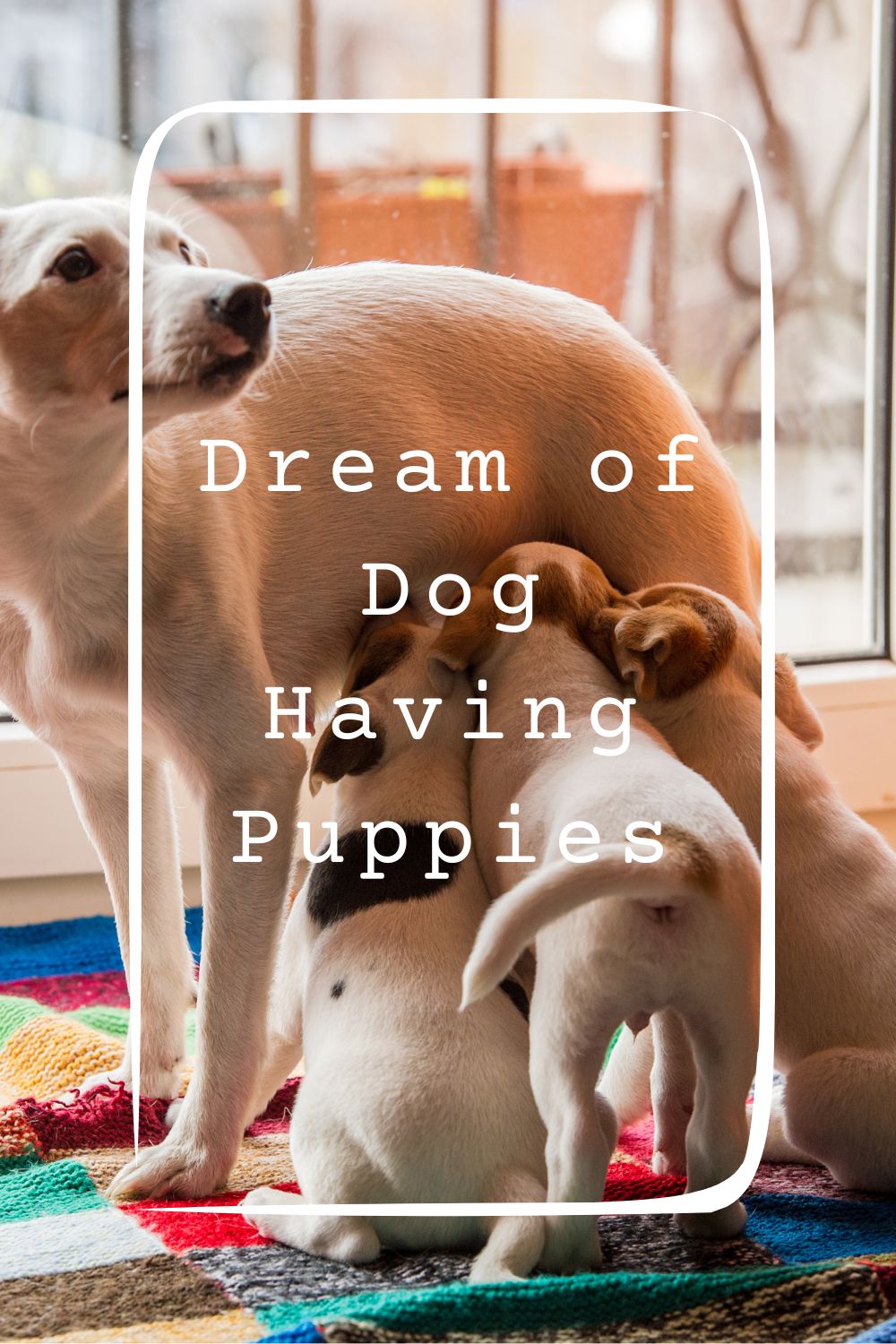 Dream of Dog Having Puppies 1