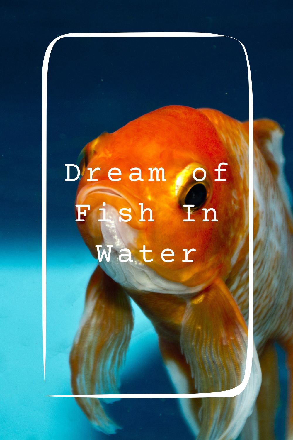 Dream of Fish In Water 4