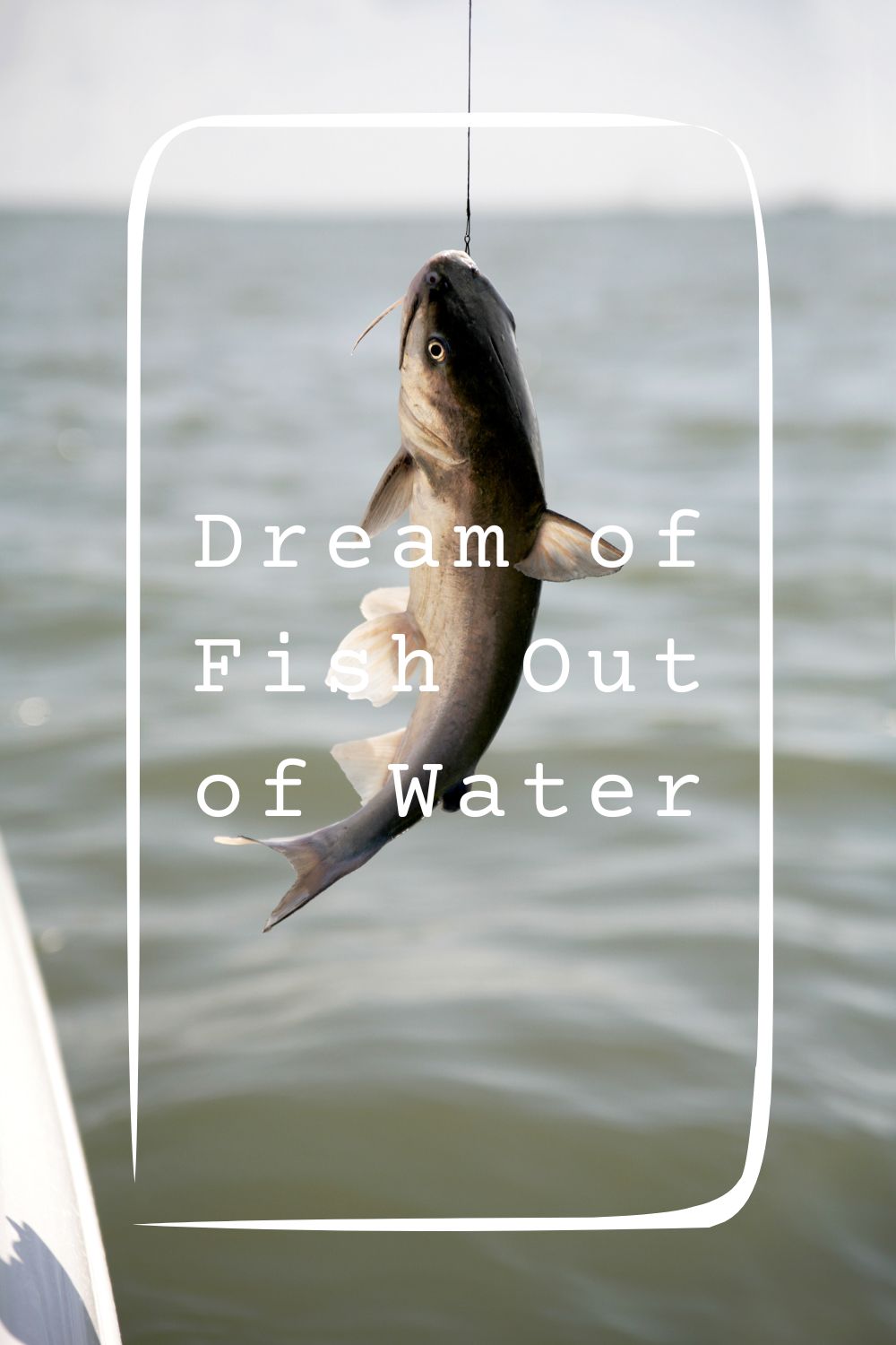 Dream of Fish Out of Water1