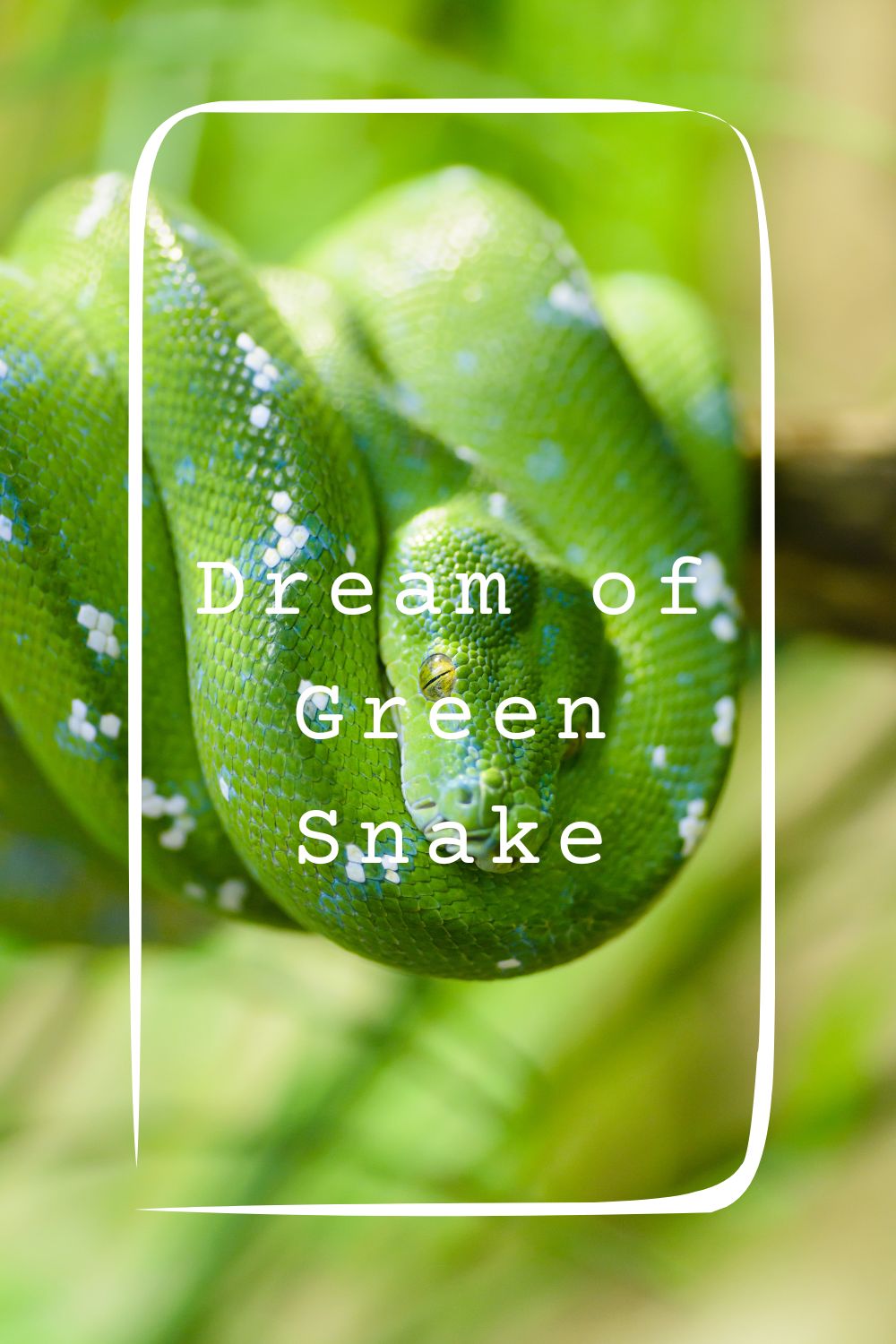 Dream of Green Snake 4