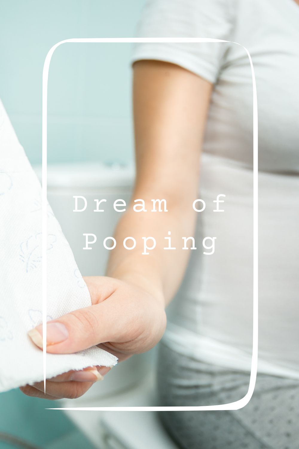 Dream of Pooping1