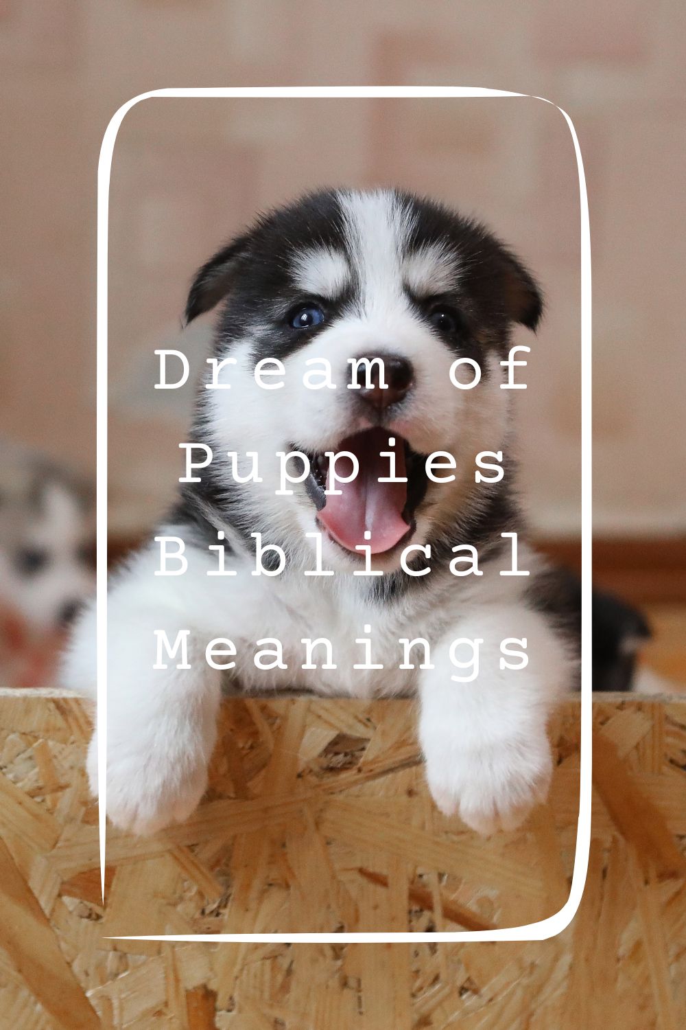 Dream of Puppies Biblical Meanings1