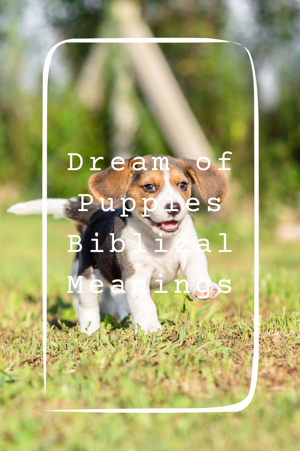 Dream of Puppies Biblical Meanings4