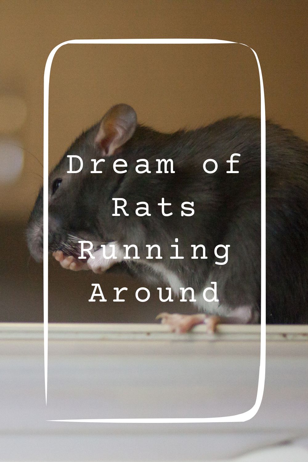 Dream of Rats Running Around1