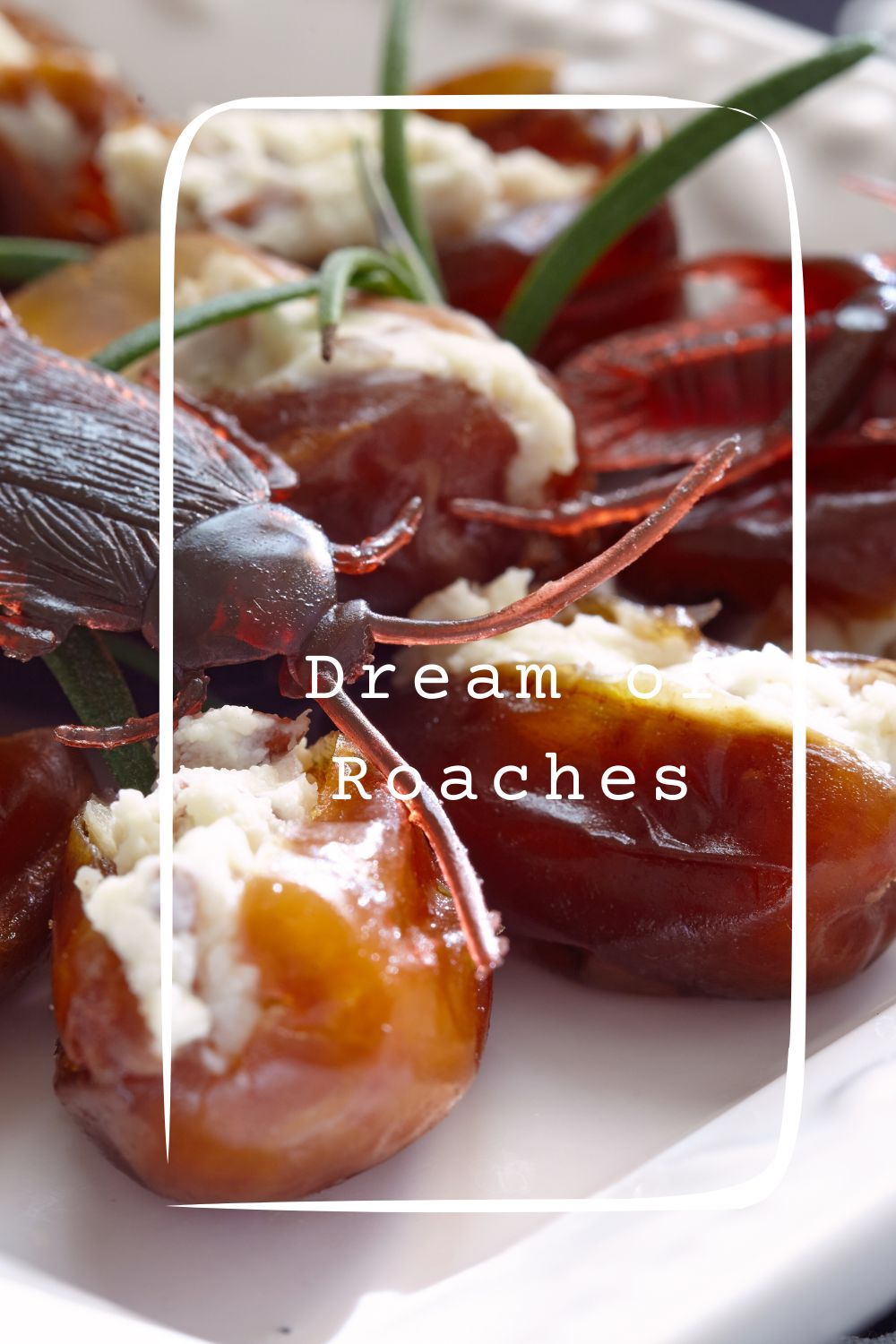 Dream of Roaches pin 2