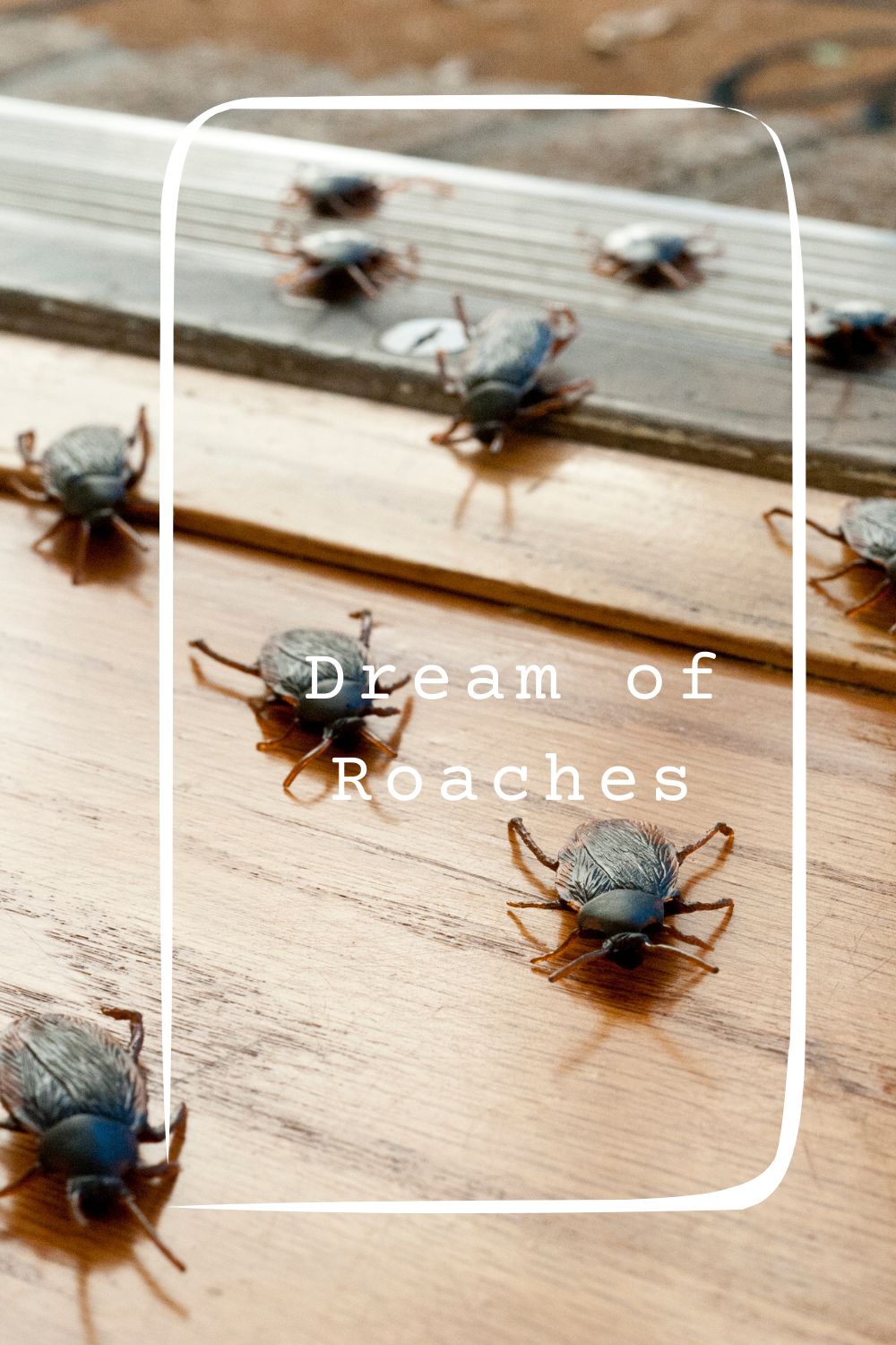 Dream of Roaches pin1