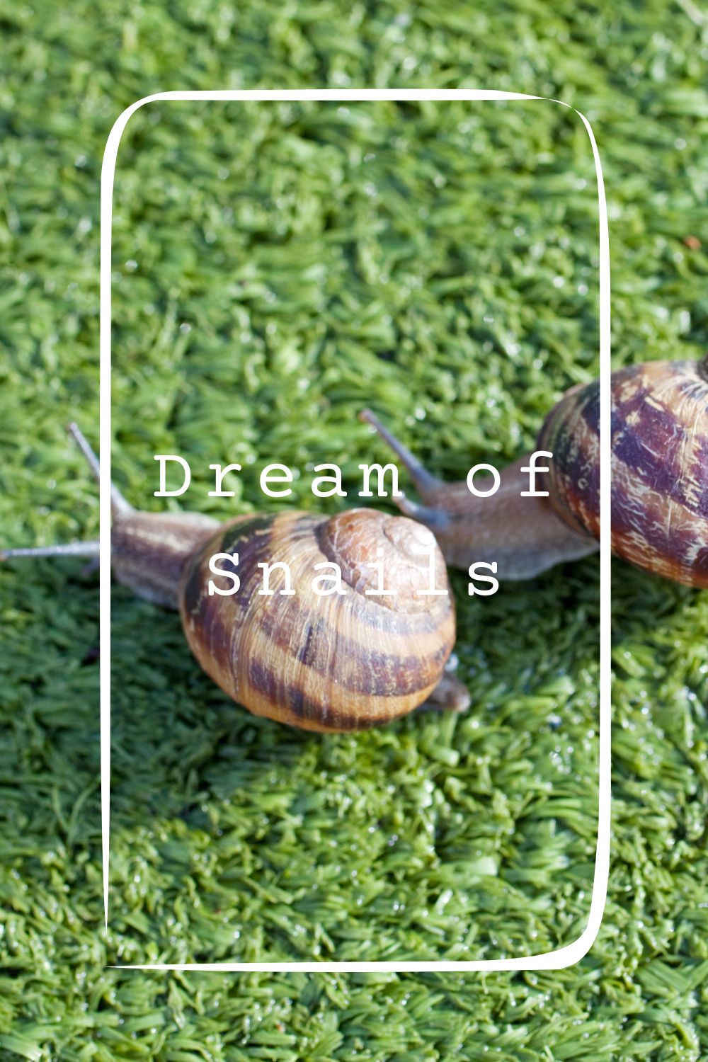Dream of Snails1