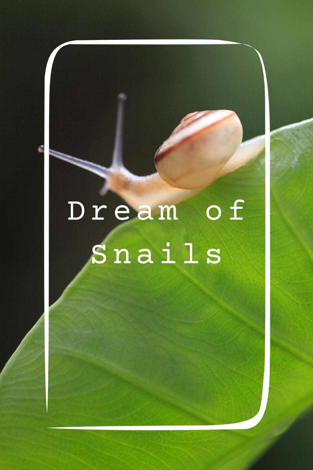 Dream of Snails4