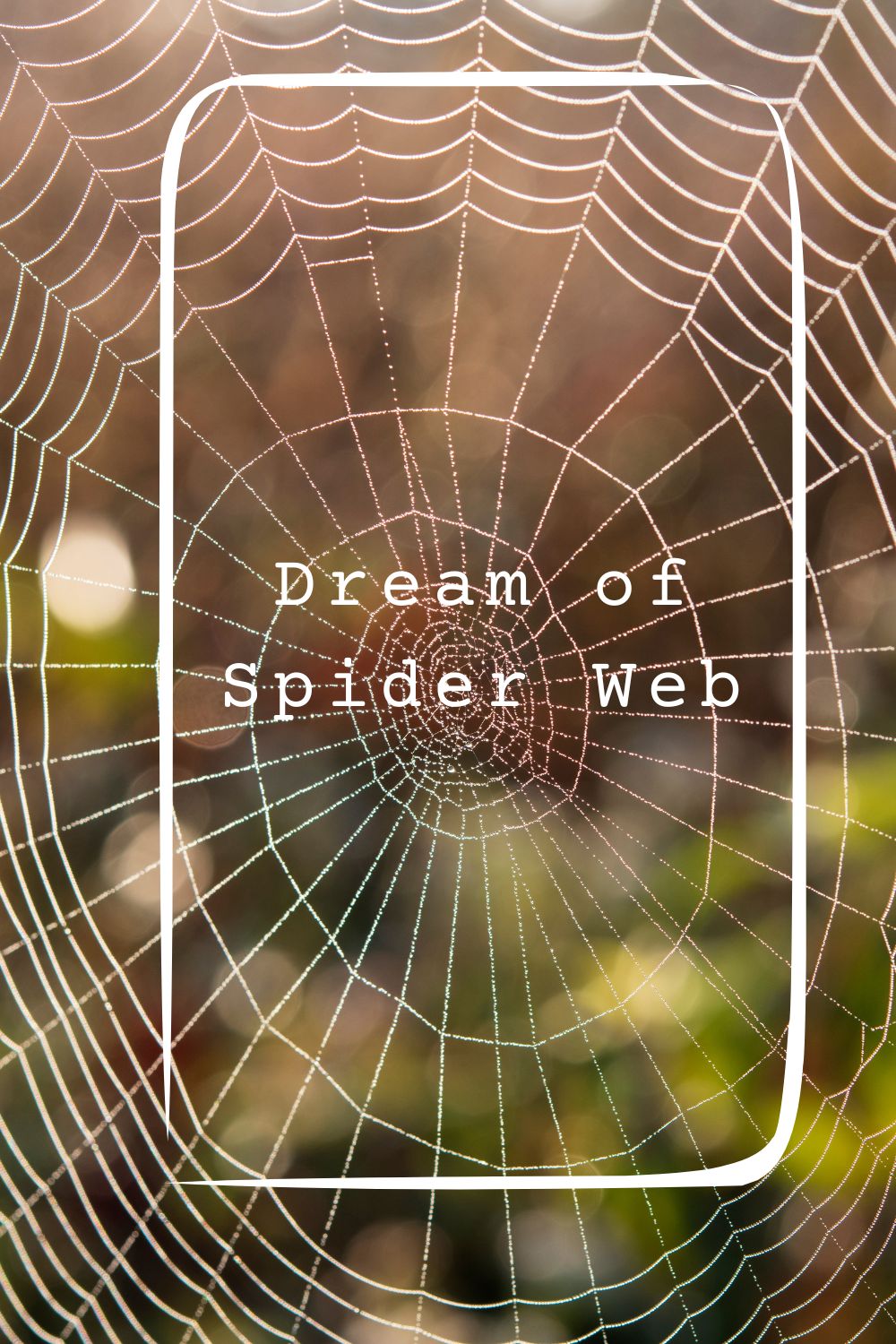 Dream of Spider Web pin 2