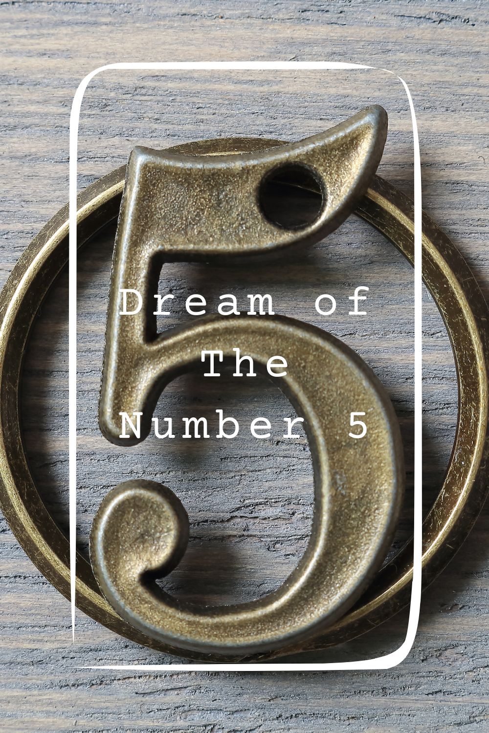 Dream of The Number 51