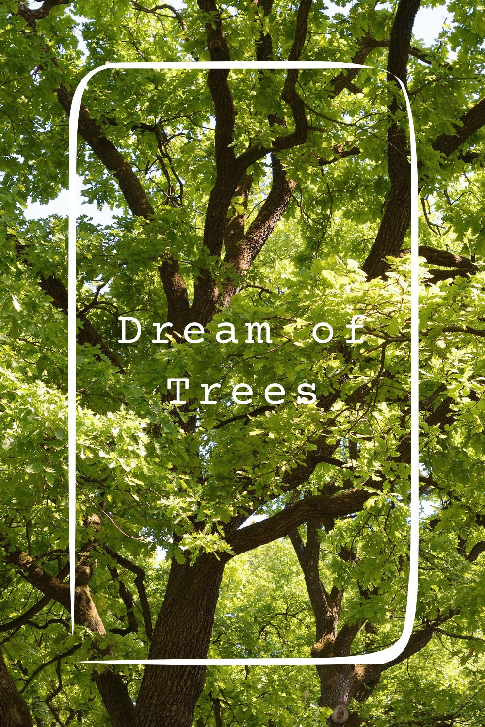 Dream of Trees1