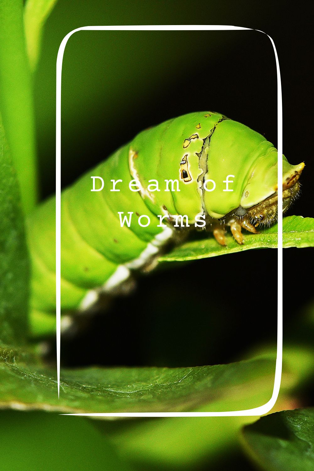 Dream of Worms pin 2