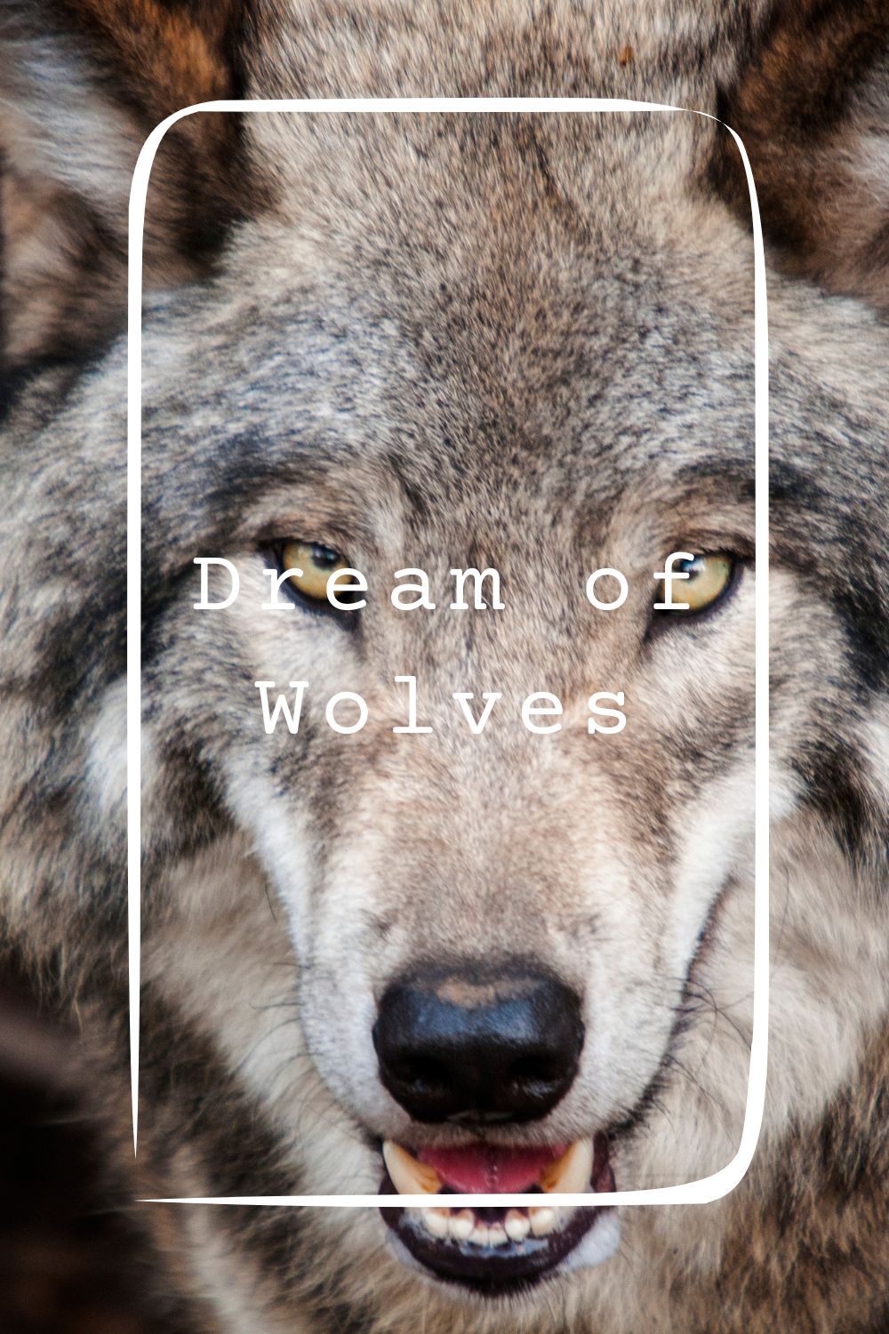 Dream of Wolves 1