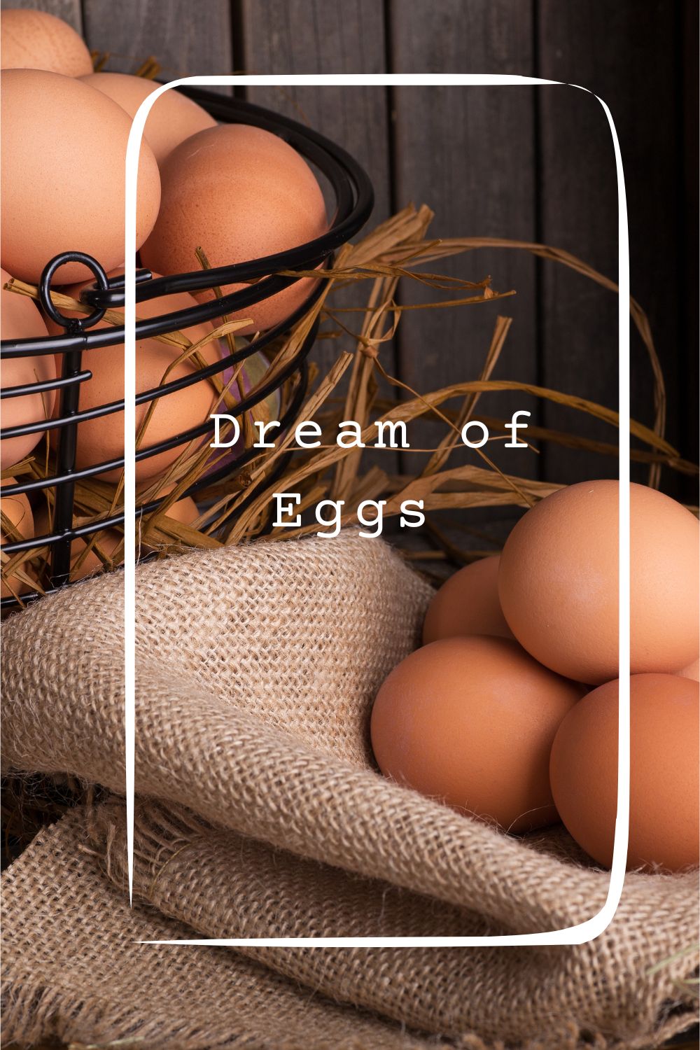 _Dream of Eggs pin 2