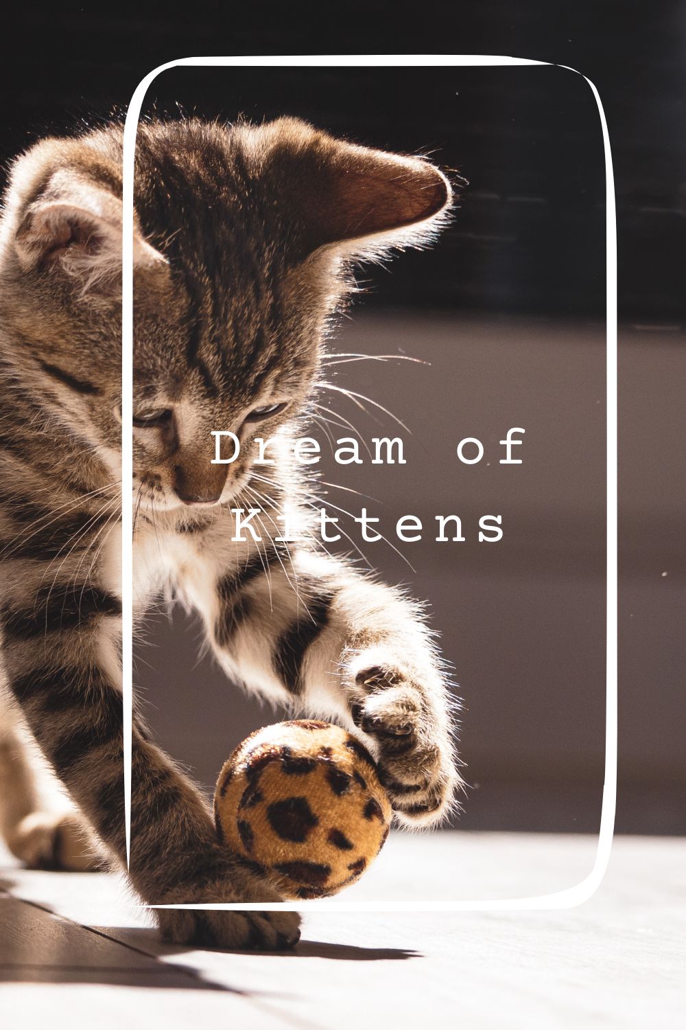 Dream of Kittens pin2